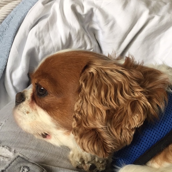 Meet your Posher, Julia - Picture 1 of 1